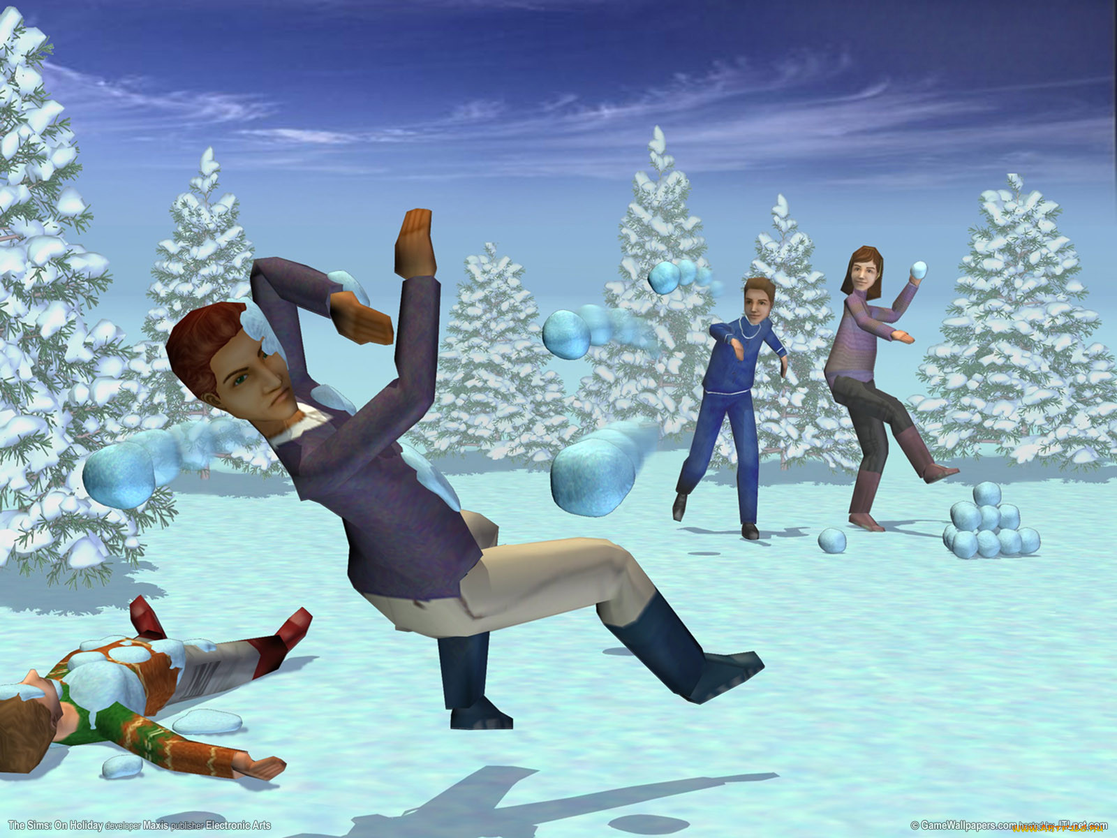 the, sims, on, holiday, , , vacation